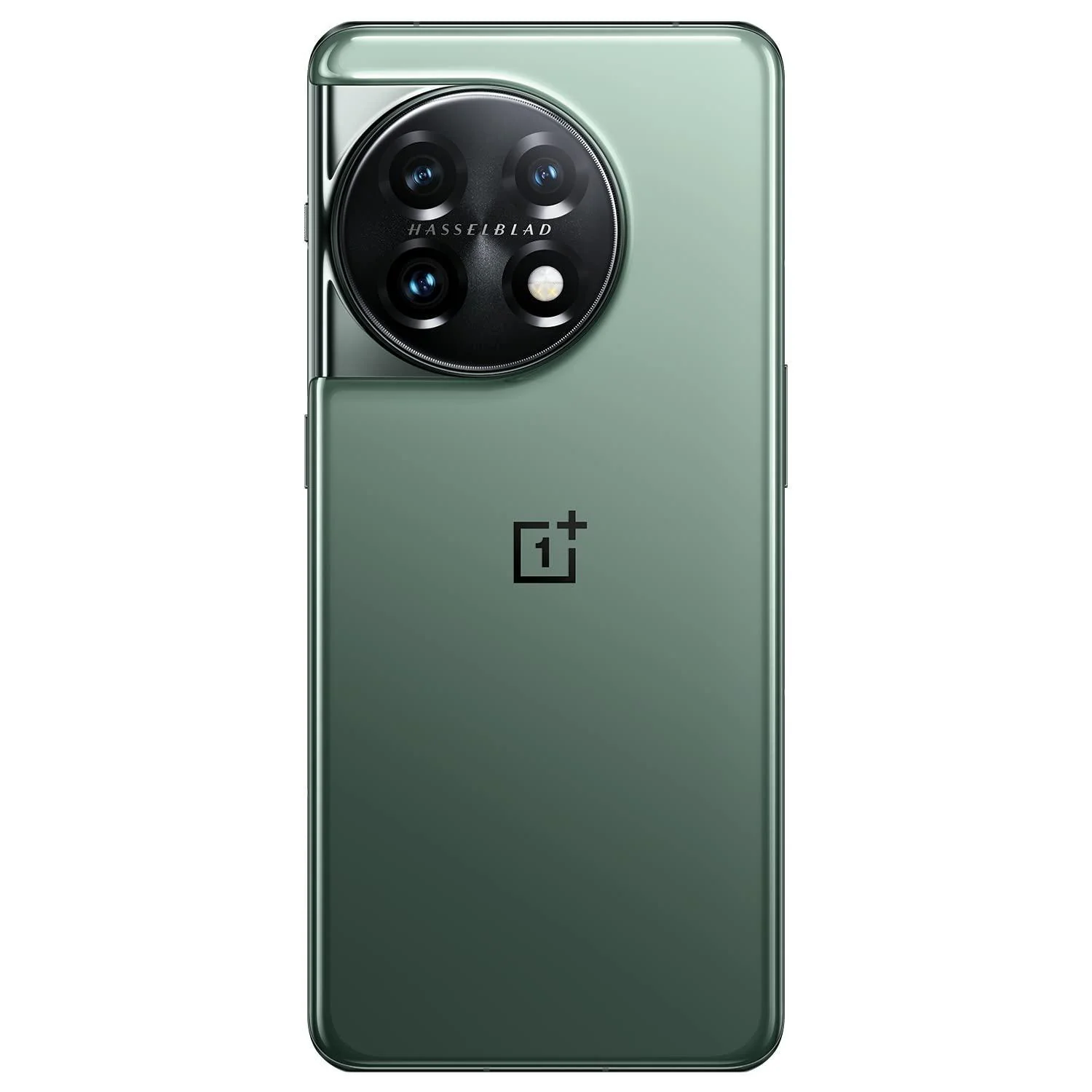 OnePlus 11 5G (Eternal Green, 8GB RAM, 128GB Storage) - Image 5
